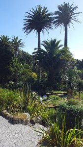 Tropical feel Abbey Gardens